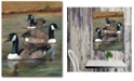 Courtside Market Geese 16" x 20" Gallery-Wrapped Canvas Wall Art